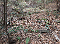 bizan026_thumb.png