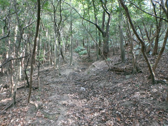 bizan028.jpg