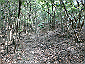 bizan028_thumb.png