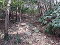 bizan029_thumb.png