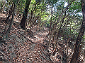 bizan034_thumb.png