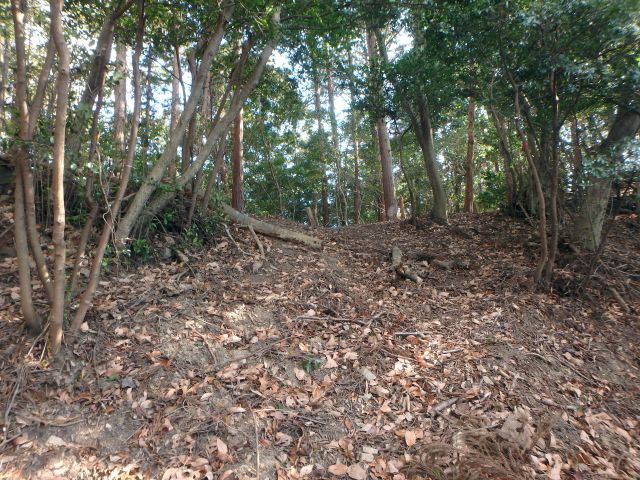 bizan035.jpg