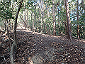 bizan036_thumb.png