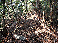 bizan037_thumb.png