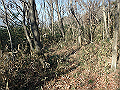 bizan041_thumb.png