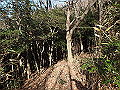 bizan042_thumb.png