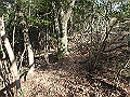 bizan043_thumb.png
