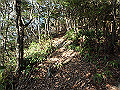 bizan047_thumb.png