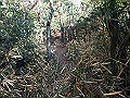 bizan049_thumb.png