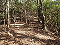 bizan050_thumb.png