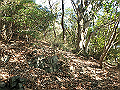 bizan051_thumb.png
