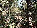 bizan052_thumb.png