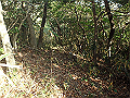 bizan053_thumb.png