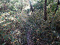 bizan054_thumb.png
