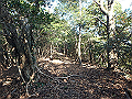 bizan056_thumb.png