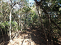 bizan057_thumb.png