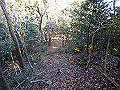 bizan058_thumb.png