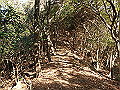 bizan059_thumb.png