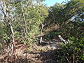 bizan062_thumb.png