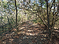 bizan063_thumb.png
