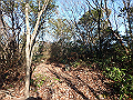 bizan065_thumb.png