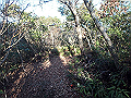 bizan066_thumb.png