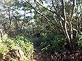 bizan067_thumb.png