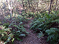 bizan068_thumb.png