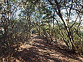 bizan069_thumb.png