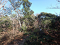 bizan070_thumb.png