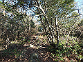 bizan071_thumb.png