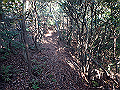 bizan072_thumb.png