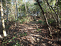 bizan073_thumb.png