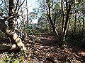 bizan074_thumb.png