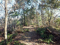 bizan075_thumb.png