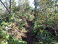 bizan077_thumb.png