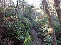 bizan079_thumb.png