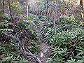 bizan080_thumb.png