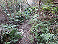 bizan081_thumb.png