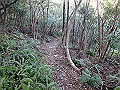 bizan082_thumb.png