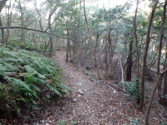 bizan083.jpg