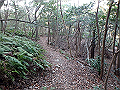 bizan083_thumb.png
