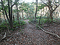 bizan084_thumb.png