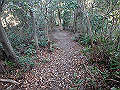bizan085_thumb.png