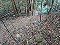 bizan089_thumb.png