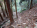 bizan090_thumb.png
