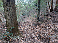 bizan091_thumb.png