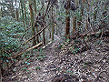 bizan093_thumb.png