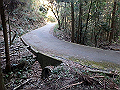 bizan095_thumb.png