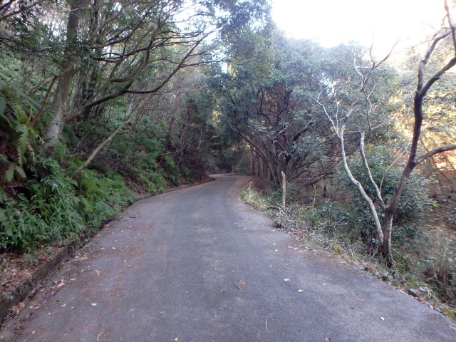 bizan097.jpg